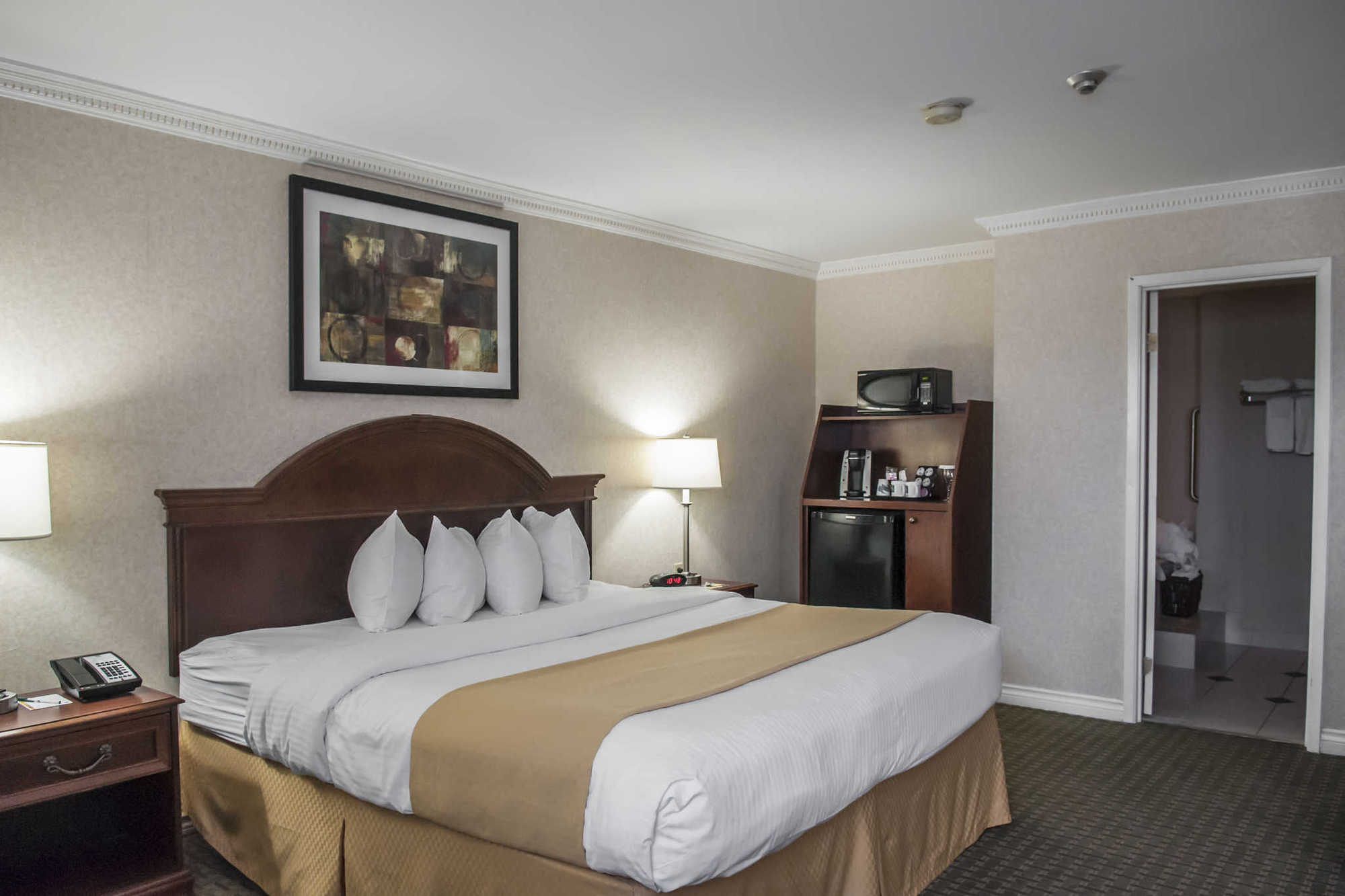 Quality Inn Airport West Mississauga Kamer foto